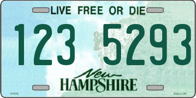 NH license plate 1235293