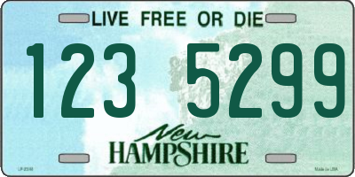 NH license plate 1235299