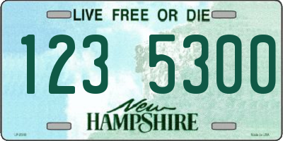 NH license plate 1235300