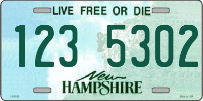 NH license plate 1235302
