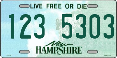 NH license plate 1235303