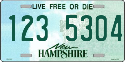 NH license plate 1235304