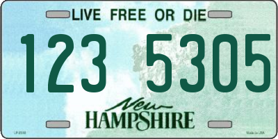 NH license plate 1235305