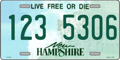 NH license plate 1235306