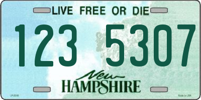 NH license plate 1235307