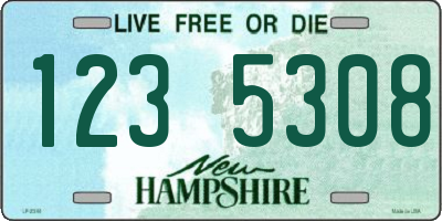 NH license plate 1235308