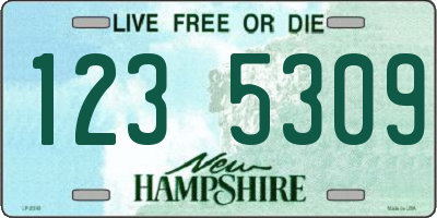 NH license plate 1235309
