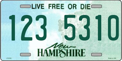 NH license plate 1235310