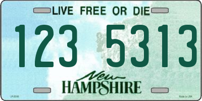 NH license plate 1235313