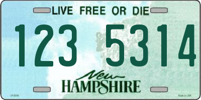 NH license plate 1235314