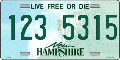 NH license plate 1235315