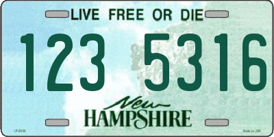 NH license plate 1235316