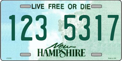NH license plate 1235317