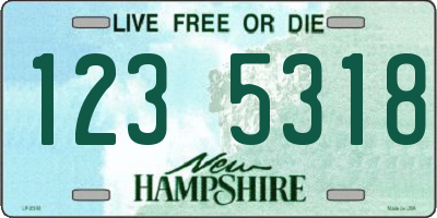 NH license plate 1235318