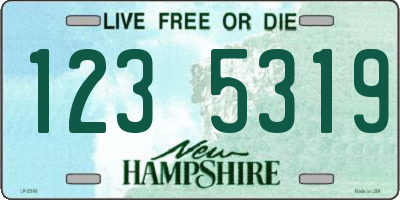 NH license plate 1235319
