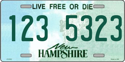 NH license plate 1235323