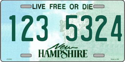 NH license plate 1235324