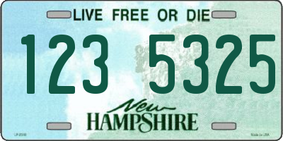 NH license plate 1235325