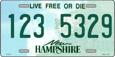 NH license plate 1235329