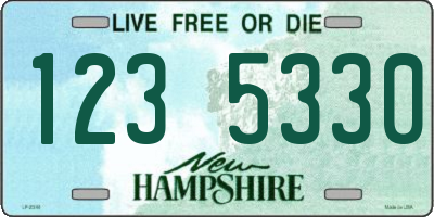 NH license plate 1235330