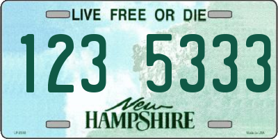 NH license plate 1235333