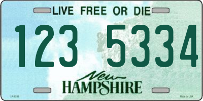 NH license plate 1235334