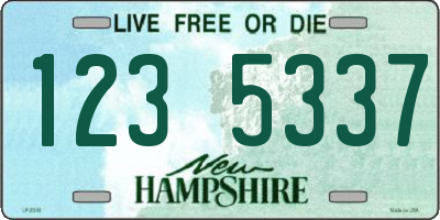 NH license plate 1235337