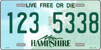 NH license plate 1235338