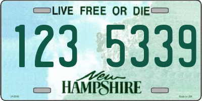 NH license plate 1235339