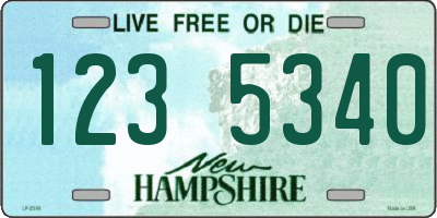 NH license plate 1235340