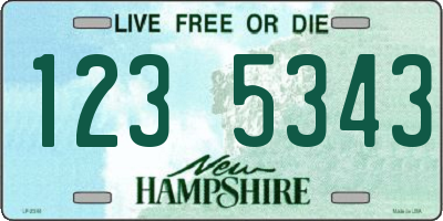 NH license plate 1235343
