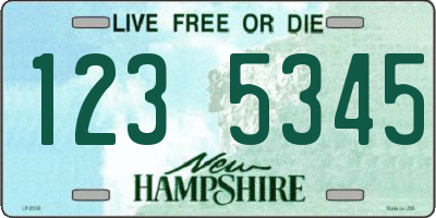 NH license plate 1235345