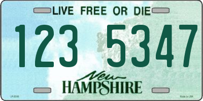 NH license plate 1235347