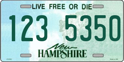 NH license plate 1235350