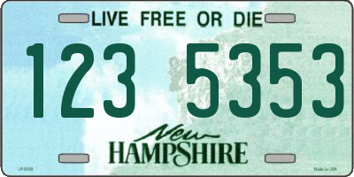 NH license plate 1235353