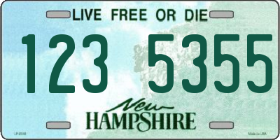 NH license plate 1235355