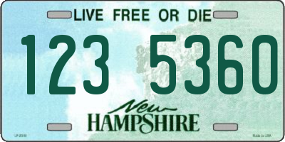 NH license plate 1235360