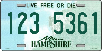 NH license plate 1235361