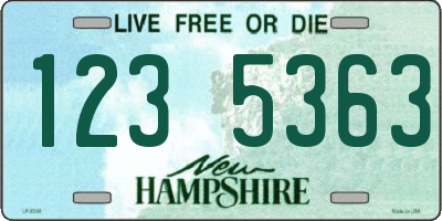 NH license plate 1235363