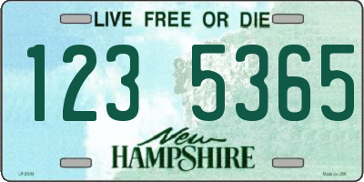 NH license plate 1235365