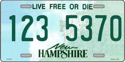 NH license plate 1235370