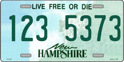 NH license plate 1235373