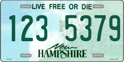 NH license plate 1235379