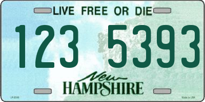 NH license plate 1235393