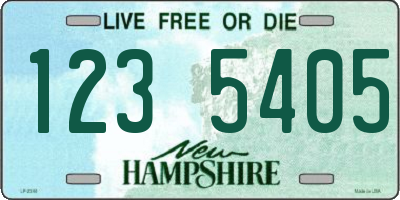 NH license plate 1235405