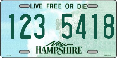 NH license plate 1235418