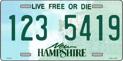NH license plate 1235419
