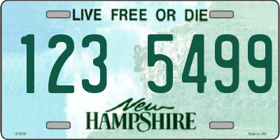 NH license plate 1235499