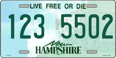 NH license plate 1235502