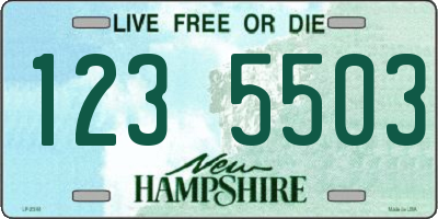 NH license plate 1235503